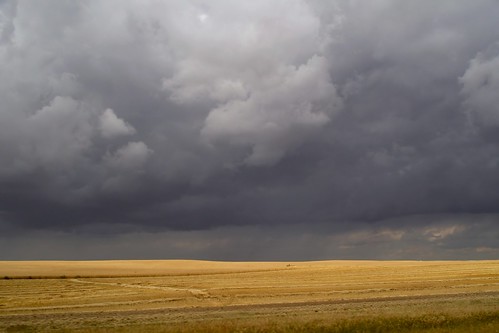 Prairie storm (v. 2.0)