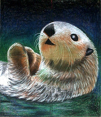 Chalk Art: Sea Otter