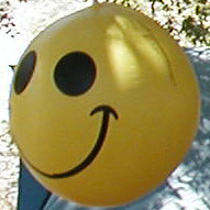 Camp Happy Face Mascot