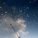 skyful of sakura stars