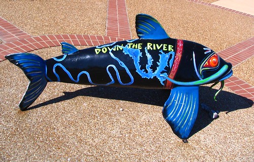 Cumberland River Catfish