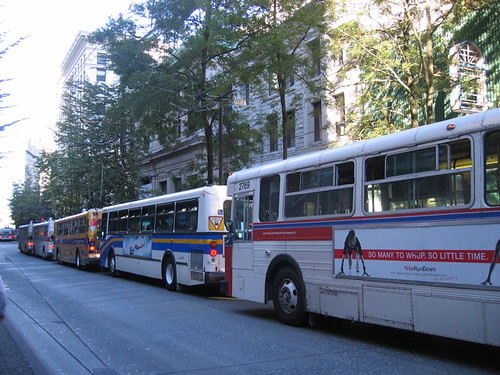 Vancouver Translink Photos - Buses lined up northbound on Granville