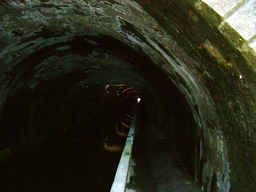 Tunnel of Despair