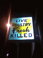 “Live Poultry Fresh Killed”