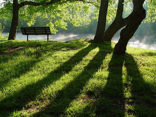 Bench, trees and shadow...