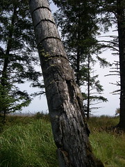 Skedans, Queen Charlotte Islands