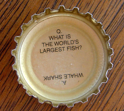 beer cap trivia