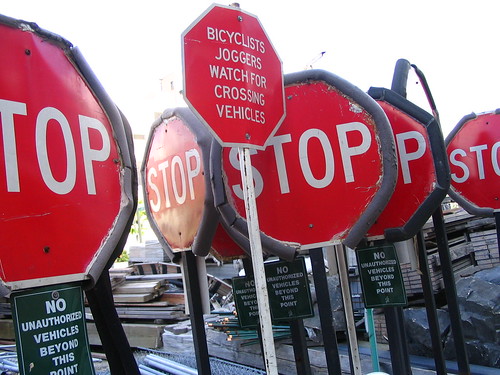 forest of stop signs