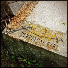 Perpetual Care - by Catskills Grrl