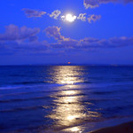 Moonlight Over the Sea
