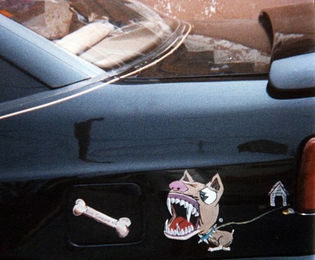 dog painting artwork graphic canine pitbull bone doghouse hyundai scoupe