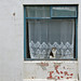 Cat in window by jezzybelly