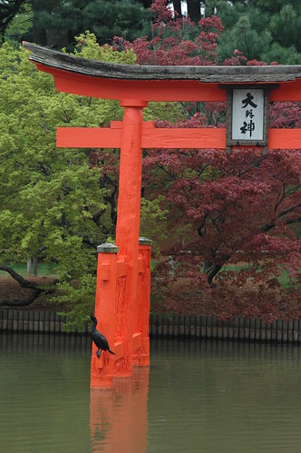 Cormorant on Torii in the Japanese Garden