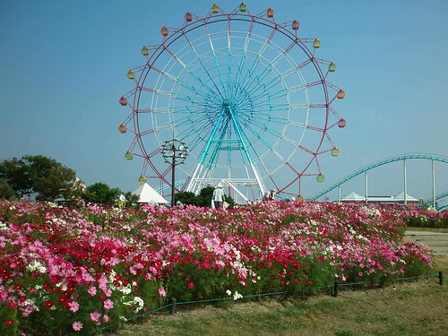 cosmos and wheel