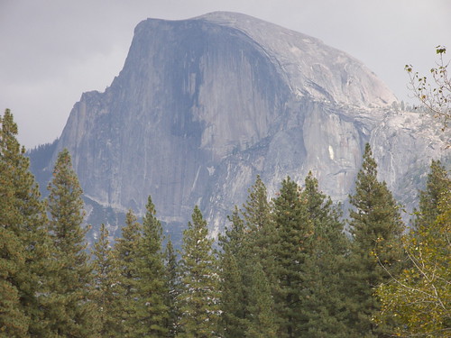 Half Dome from the Valley Floor