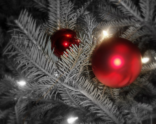 Christmas Ornament on Fir Tree