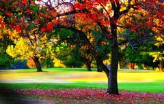 Colors of Autumn!!