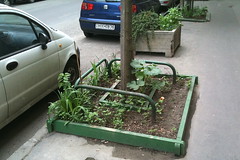 Square Foot Gardening in Budapest