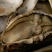 牡蠣剥き