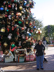 Disneyland in December (2)