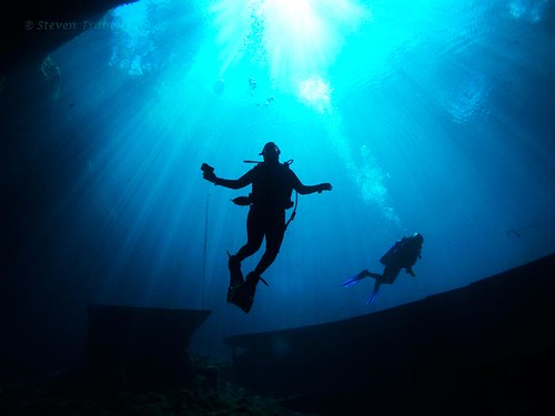 Galapagos Diving 