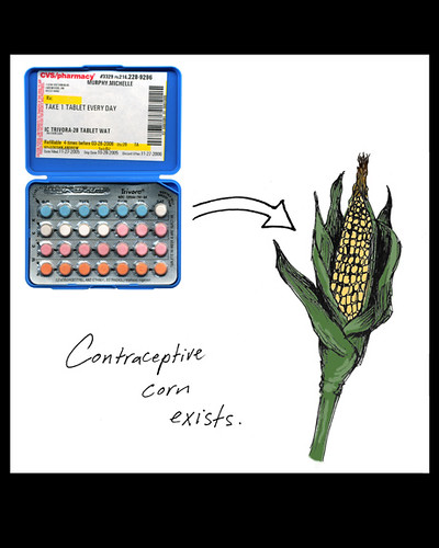 contraceptive corn exists
