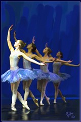 Ballet Blue - by Pat McDonald