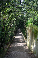Path Along the Viottolone - Giardino di Boboli