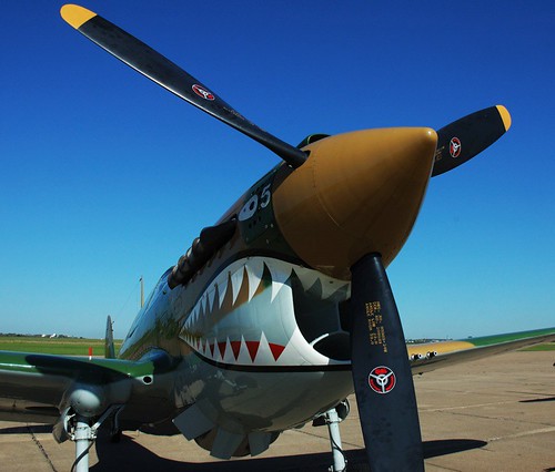 Warbird picture - P-40 Tomahawk, Galveston, Texas