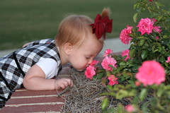 Smelling The Roses