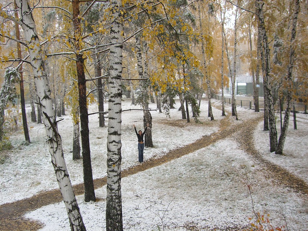 : Snow and yellow leaves