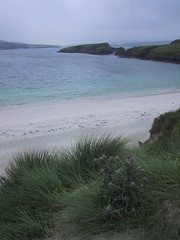 beach on St. Ninian's