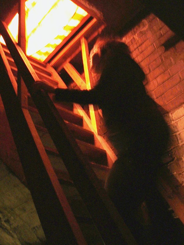 фото: down into the basement...