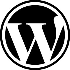 The grand daddy of open source: WordPress