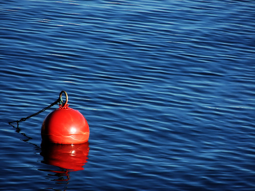 This Buoy