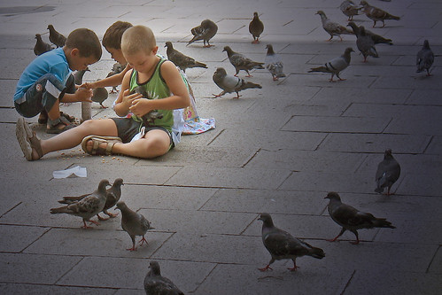 The pigeon whisperer by bekahpaige.