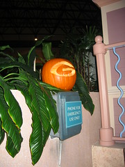 UGA Pumpkin