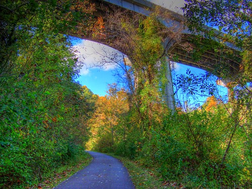 The Path Under the Bridge
