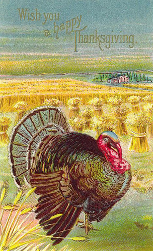 Thanksgiving Card 1
