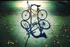 Autumn Cycle - by moriza