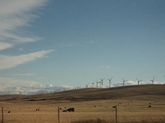 wind power terminal