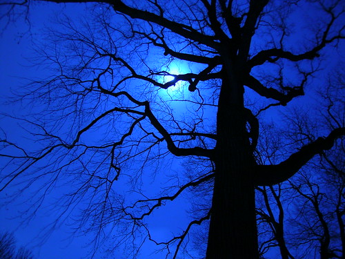 cemetery at night. Cemetery Winter Night