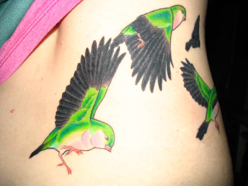 bird tattoos. Bird tattoo colour back bright