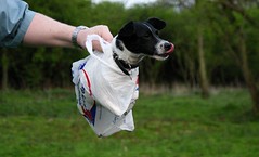 Doggie Bag. photo by Cerc via Creative Commons
