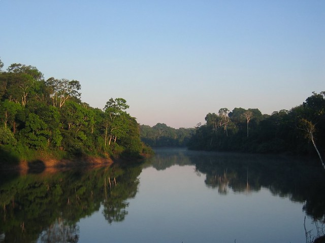 Morning in the Amazon...