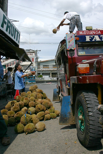 Pinoy Filipino Pilipino Buhay  people pictures photos life Philippines,Davao City  fruit, jeepney, man, rural, scene, street, transport, durian unloading 