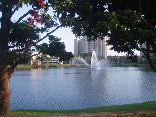 university of miami campus. University of Miami campus