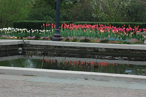 Spring Bulbs in the Annual Border of the Lily Pool Terrace