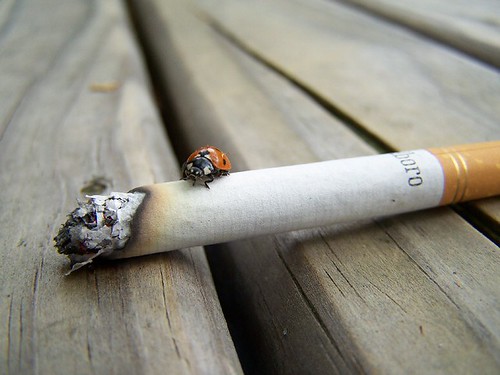fumatul