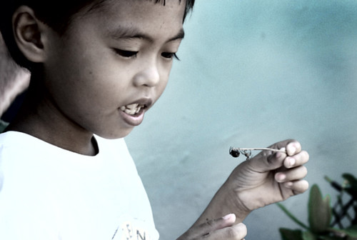 Tambulilid, Ormoc City boy spider playing  Buhay Pinoy Philippines Filipino Pilipino  people pictures photos life Philippinen  菲律宾  菲律賓  필리핀(공화국)     